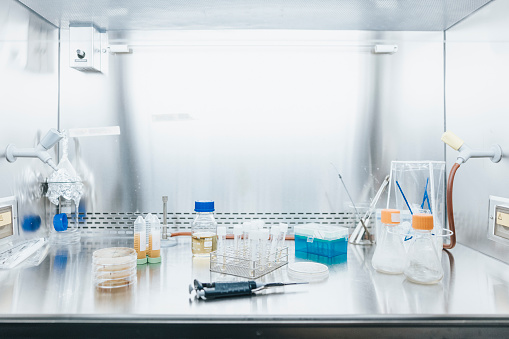 Photos taken in the biotechnology laboratory focused on addressing global challenges of biosustainability, including sustainable production of food and feed, but also biochemicals and materials.