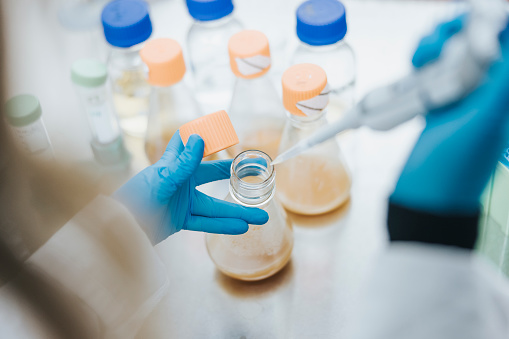 Photos taken in the biotechnology laboratory focused on addressing global challenges of biosustainability, including sustainable production of food and feed, but also biochemicals and materials.