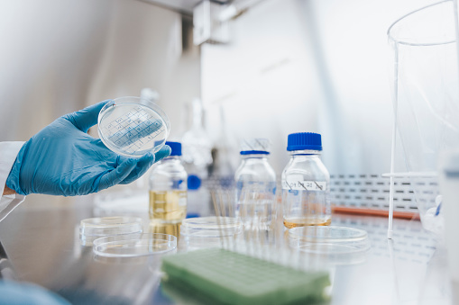 Photos taken in the biotechnology laboratory focused on addressing global challenges of biosustainability, including sustainable production of food and feed, but also biochemicals and materials.