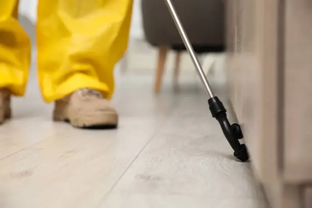 Photo of Pest control worker spraying pesticide around furniture indoors, closeup