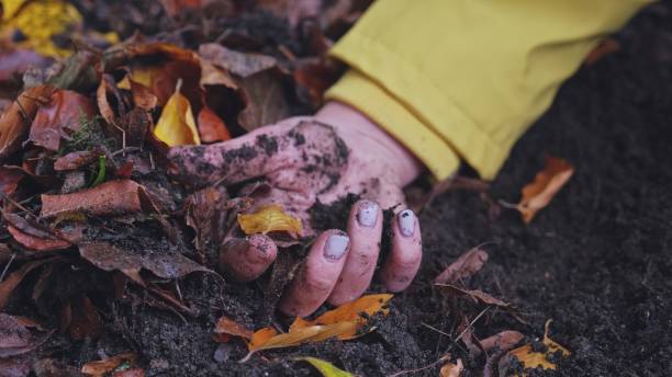 disturbing hand of murdered in forest caucasian woman in yellow jacket with broken finger nails found on ground among mud and withered autumn leaves - begravd fotografier bildbanksfoton och bilder