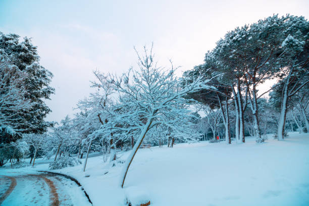 istock Road in the snow covered forest at winter 1347860080