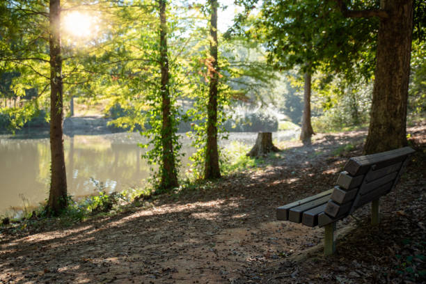 Seat by the lake