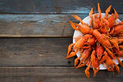 Boiled crawfish on the plate on the wooden table background with copy space.