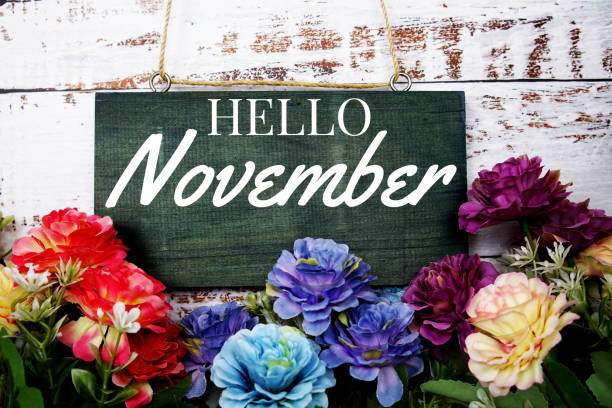 istock Hello November typography text decorate with flower on wooden background 1347863697