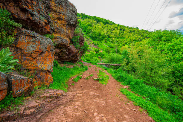 Beautiful stream in the Stara Planina mountain massif, Kovani Dol, in the south-eastern Serbia.