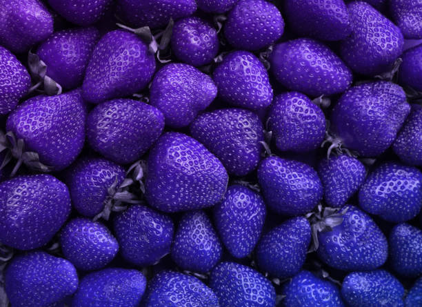 bright colorful strawberry art background surrealism purple colors