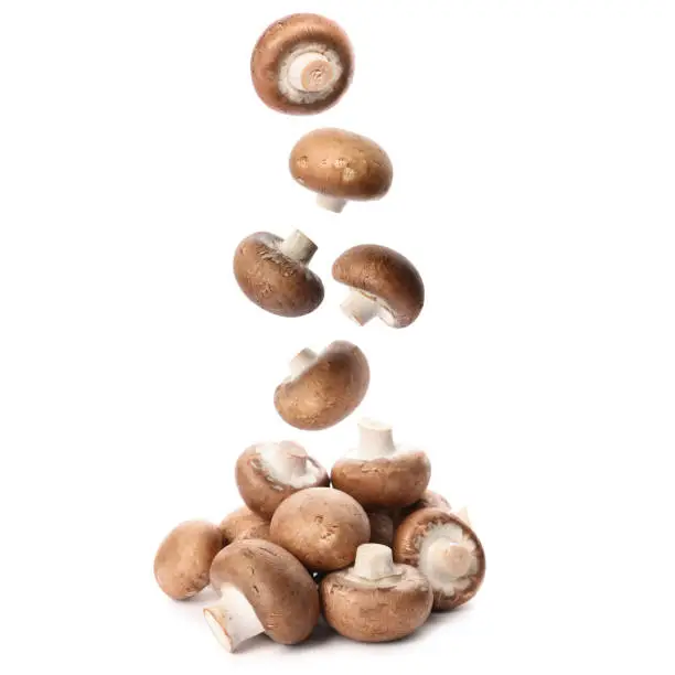 Photo of Set with fresh champignon mushrooms falling on white background
