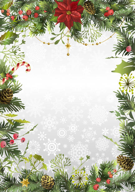 weihnachtsferien hintergrund oder rahmen umrandung mit zweigen, weihnachtssternblume, stechpalmenbeere und platz für text. postkarte. - christmas tree christmas holly holiday stock-grafiken, -clipart, -cartoons und -symbole