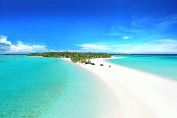 istock Landscape beach aerial view on Maldives. 1347870523