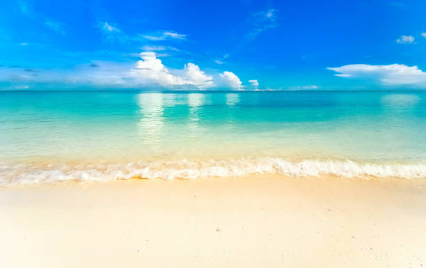 istock Beautiful background image of tropical beach. 1347870677