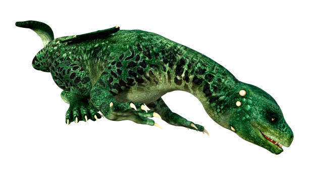 istock 3D illustration fantasy dragon on white 1347874170