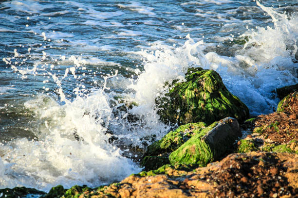 Breaking waves on the ocean with cloudy sky background.