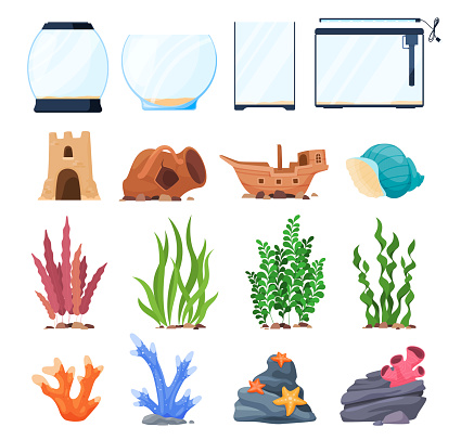 Cartoon squared and spherical equipment for aquarium set vector flat illustration. Antique decor plants, stones, starfish, seaweed, lamp for fish care isolated. Artificial exotic coral and shell
