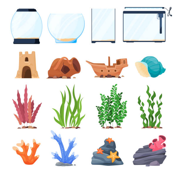 Cartoon squared and spherical equipment for aquarium set vector flat antique decor plants, stones Cartoon squared and spherical equipment for aquarium set vector flat illustration. Antique decor plants, stones, starfish, seaweed, lamp for fish care isolated. Artificial exotic coral and shell aquarium stock illustrations