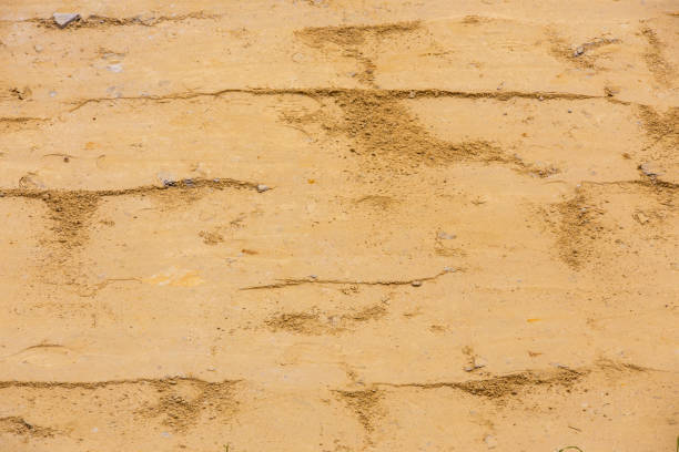 close-up view of rammed sand surface compacted with vibratory plate compactor - prepaired for macadam layer during asphalt construction proccess