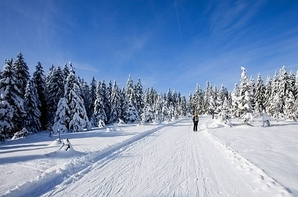 istock Ski runner on a beautiful winter day....Rogla,Slovenia 134787912