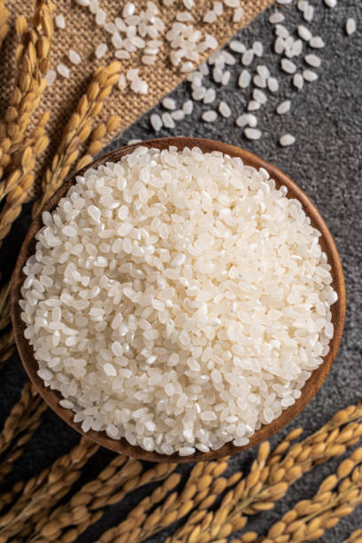 White rice in a bowl on dark black table background. White raw rice in a bowl with the ear on the dark black table background. rice cereal plant stock pictures, royalty-free photos & images