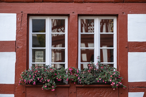 Detail of a half-timbered house, two windows decorated with flower boxes