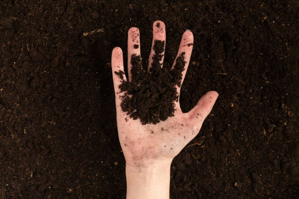 istock Woman hand holding ground. Top view. 1347893174