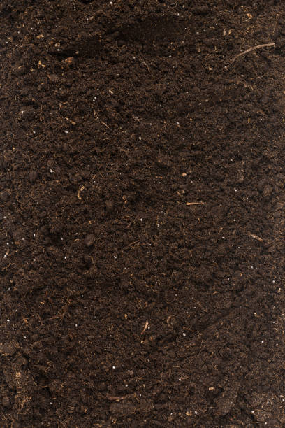istock Soil for plant isolated on white background. 1347893181