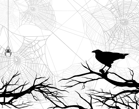 black raven bird, bare tree branches and spider web background - halloween theme vector copy space backdrop design