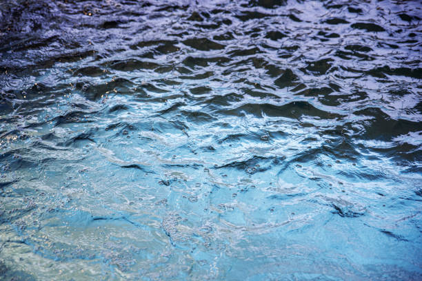 istock Water backdrop. Clean water in swimming pool. Water texture. Swimming pool background. 1347910267