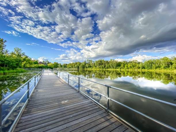 istock Wooden bridge over a pond in Minnesota 1347910609
