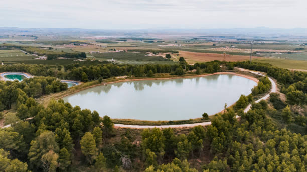 istock Aerial view of a lake surrounded by pine trees 1347912113