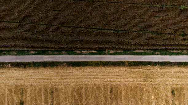 istock Aerial view of a road next to some corn fields 1347912338
