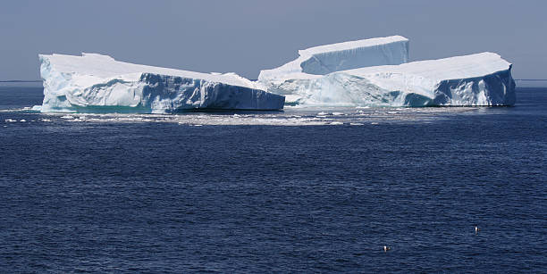 istock Icebergs from the Petermann Ice Island 134791348