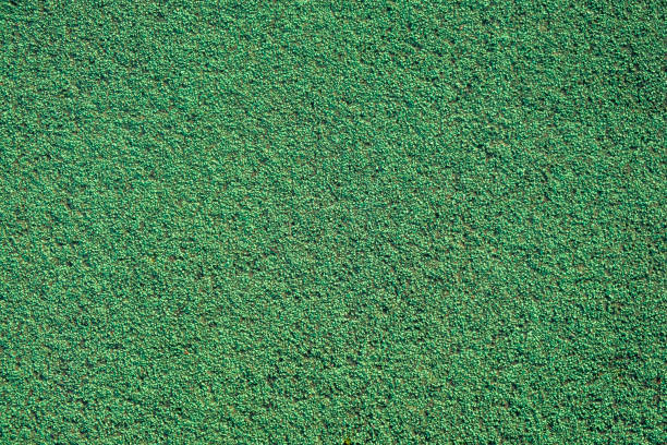 green artificial turf on the playground. green surface background