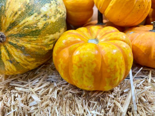 istock yellow pumpkins and squash 1347916386