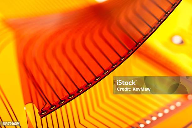 Flexible Circuit Board Stock Photo - Download Image Now - Flexibility, Circuit Board, Electronics Industry
