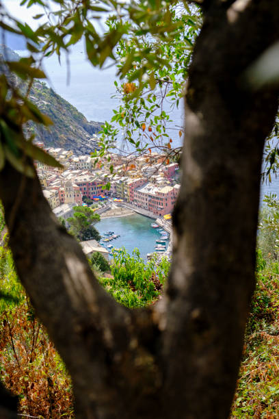 blick auf den nationalpark cinqueterre - european culture riomaggiore europe night stock-fotos und bilder