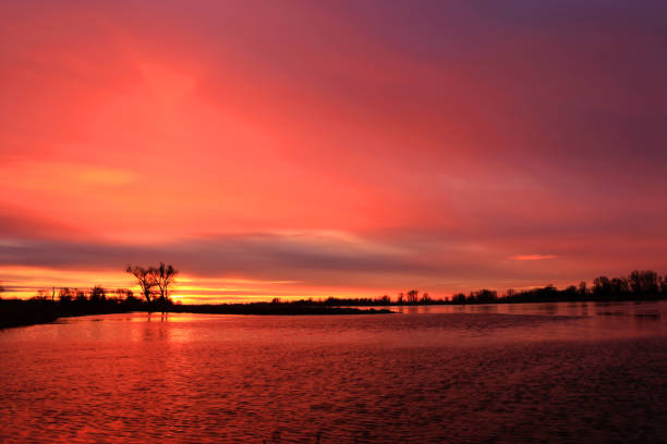 istock Colorful sunset by the Odra River, Poland. 1347918323