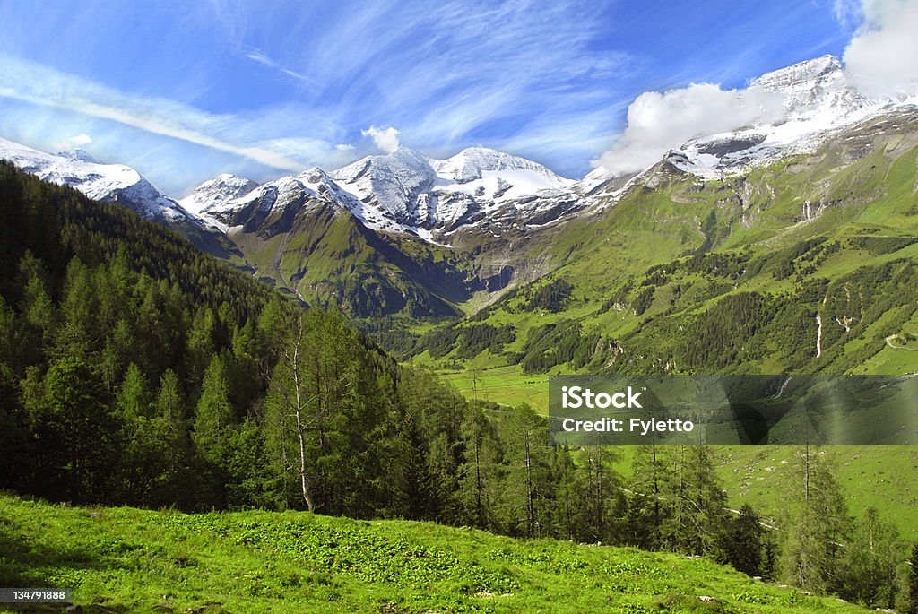 Gorgeous green landscape of Alps in Grosslockner View at alpine mountain peaks - Grossglockner - covered by snow Agriculture Stock Photo