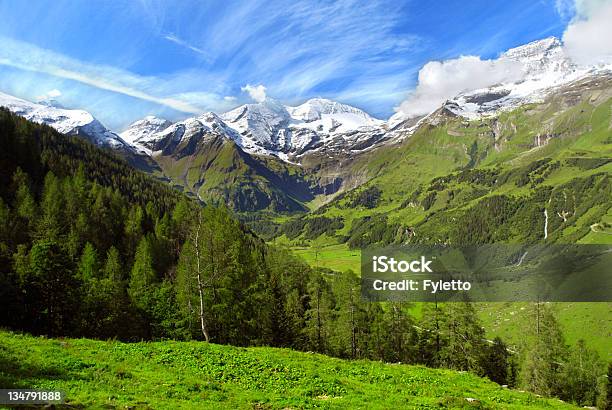 Gorgeous Green Landscape Of Alps In Grosslockner Stock Photo - Download Image Now - Agriculture, Austria, Blue