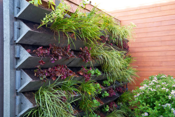 vertikaler grüner wandgarten aus recycelten kunststoffabfällen im auftrag der klimaanpassung - wandbegrünung stock-fotos und bilder