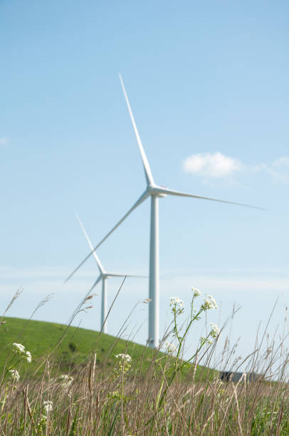 éoliennes - farm scenics landscape alternative energy photos et images de collection