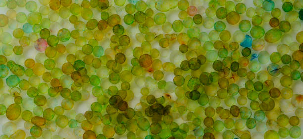 istock Abstract banner with pastel colors, colored spheres immersed in water. 1347920065