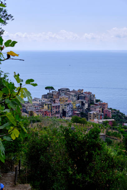 blick auf den nationalpark cinqueterre - european culture riomaggiore europe night stock-fotos und bilder