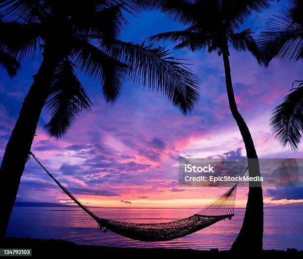 Topical Hammock Stock Photo - Download Image Now - Hawaii Islands, Hammock, Sunset