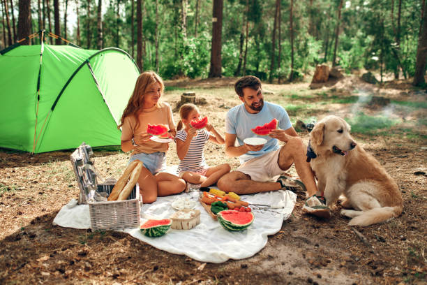 familia con perro en el bosque - camping family vacations eating fotografías e imágenes de stock