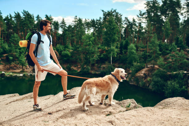 istock Family with dog in the forest 1347924601