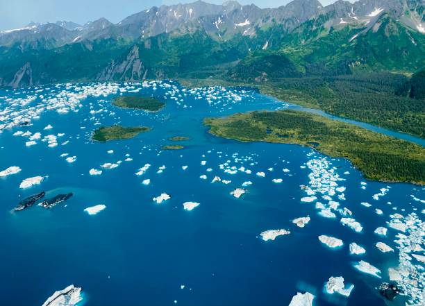 lac bear glacier - vibrant color forest ice snow photos et images de collection