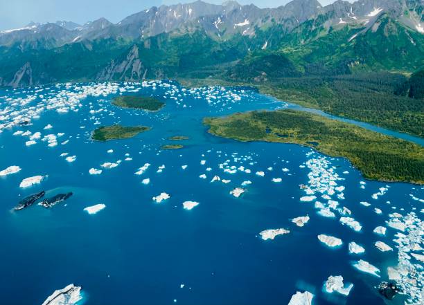 lago glaciar bear - vibrant color forest ice snow - fotografias e filmes do acervo