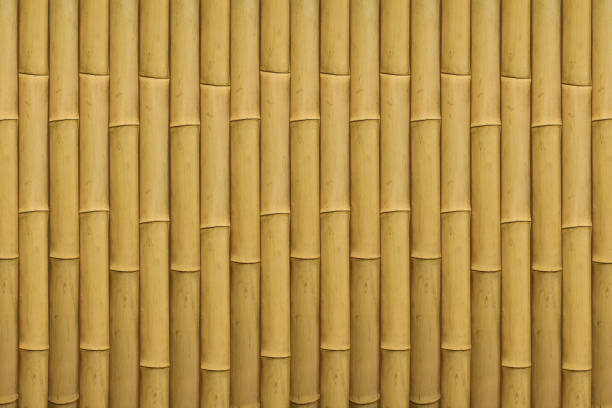 istock The bamboo plants are arranged neatly on the wall with beautiful patterns, making wallpaper, interior decoration, illustration patterns. 1347928093