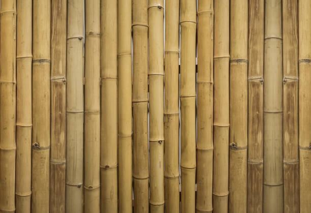 istock The bamboo plants are arranged neatly on the wall with beautiful patterns, making wallpaper, interior decoration, illustration patterns. 1347928135