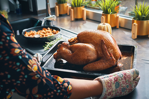 Roasting Turkey for Holiday Dinner